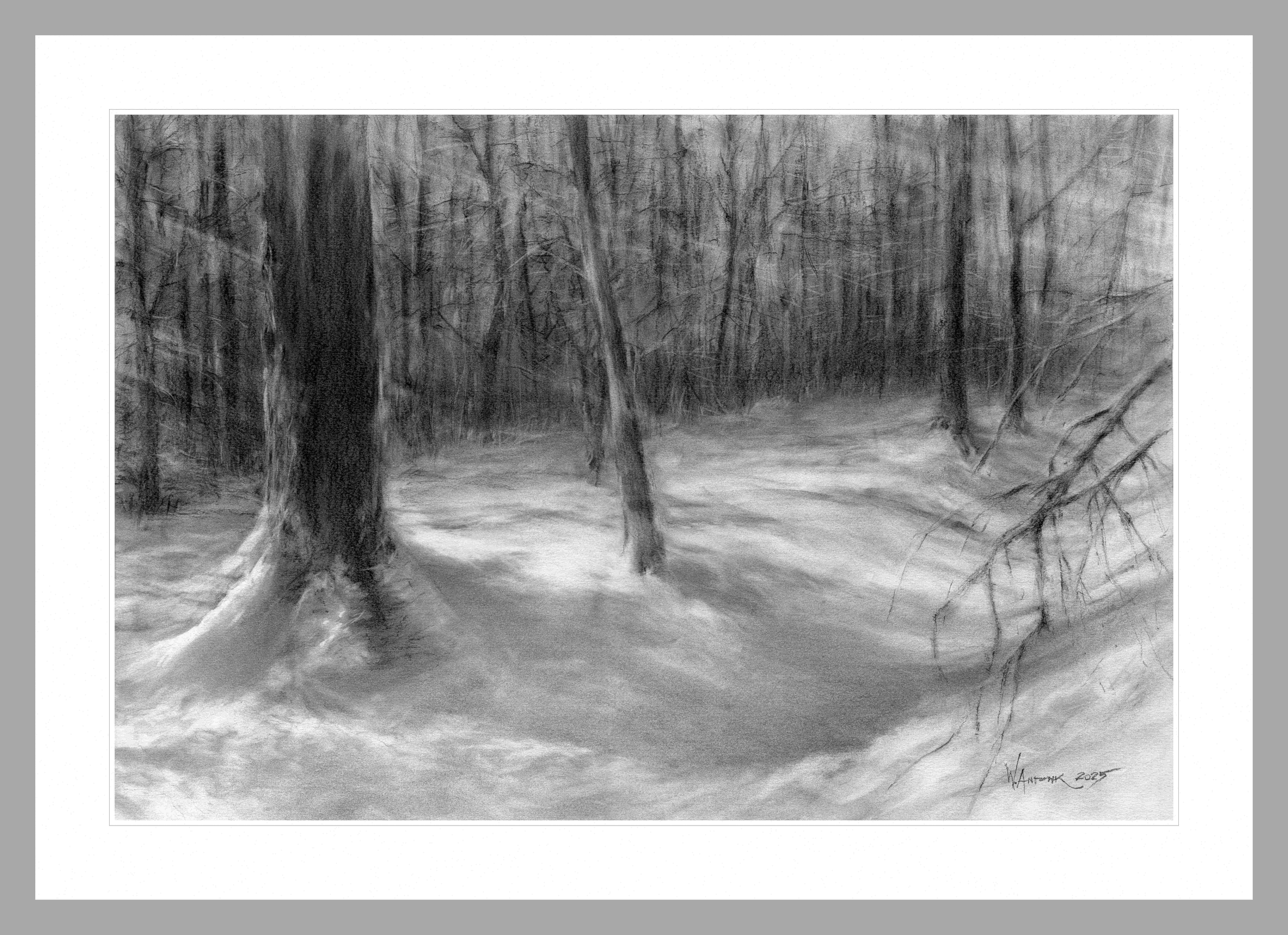 Rysunek ołówkiem na papierze. Las zimą..