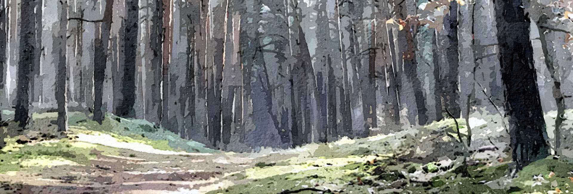 Digital Art obraz cyfrowy. Las Kampinos.